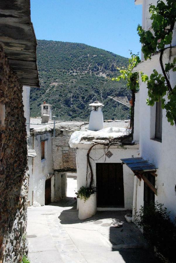 Casa Africa Guest House Mecina Fondales Exterior photo